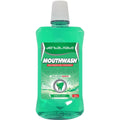 Dentalmate Mwash 1l Spring Mint