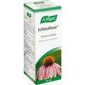 A Vogel Echinaforce  30ml