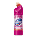 Domestos 750ml Summer Fresh