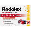 Andolex C Wildberry Pastilles 20