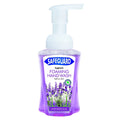 Safeguard Foam Hwash 250ml Lavender