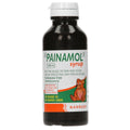 Painamol Syrup 100ml (Plastic)