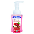 Safeguard Foam Hwash 250ml W/Apple&s